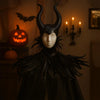Gothic Feather Cape And Horn Set
