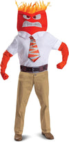 Disguise Anger Adult Costume
